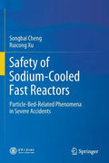 Safety of Sodium-Cooled Fast Reactors: Particle-Bed-Related Phenomena in Severe Accidents - Paperback