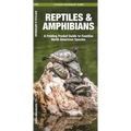 Reptiles & Amphibians: An Introduction to Familiar North American Species