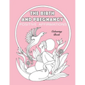 BIRTH AND PREGNANCY POSITIVE AFFIRMATIONS colouring book: colouring book - Paperback