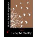 How I Found Livingstone - Paperback