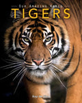 Tigers: Amazing Pictures & Fun Facts on Animals in Nature - Paperback
