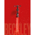 Bill Beckley and Narrative Art: The Word-Image Riddle and the Aesthetics of Beauty - Hardcover