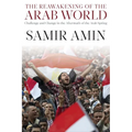 The Reawakening of the Arab World: Challenge and Change in the Aftermath of the Arab Spring - Paperback
