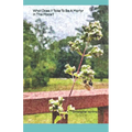 What Does It Take To Be A Martyr In This Place?: A Collection of Poems on Grief and Loss. - Paperback
