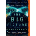 The Big Picture: On the Origins of Life, Meaning, and the Universe Itself - Paperback