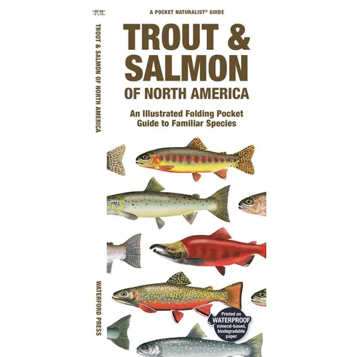 Trout & Salmon of North America: An Illustrated Folding Pocket Guide to Familiar Species - Paperback