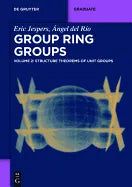 Structure Theorems of Unit Groups - Paperback