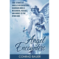 Angel Encounters: True Stories of Angelic Interventions - Guardian Angels, Messengers, Rescues, and Guides to the Other Side - Paperback