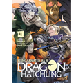 Reincarnated as a Dragon Hatchling (Light Novel) Vol. 4 - Paperback