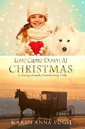 Love Came Down At Christmas: A Fancy Amish Smicksburg Tale - Paperback