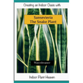 Creating an Indoor Oasis with Sansevieria Snake Plant: Snake Plant book - Paperback