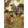 Morning in the bowl of night - Paperback