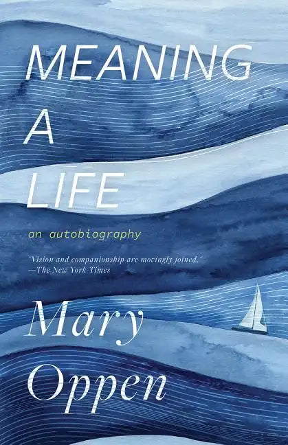 Meaning a Life: An Autobiography - Paperback
