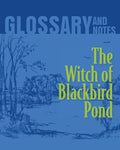 The Witch of Blackbird Pond Glossary and Notes: The Witch of Blackbird Pond - Paperback