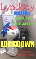 Lyndsey and the Drunk Cleaner in Lockdown: Inspired by experience - Paperback