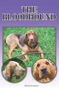 The Bloodhound: A Complete and Comprehensive Beginners Guide To: Buying, Owning, Health, Grooming, Training, Obedience, Understanding - Paperback
