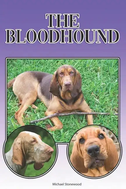 The Bloodhound: A Complete and Comprehensive Beginners Guide To: Buying, Owning, Health, Grooming, Training, Obedience, Understanding - Paperback