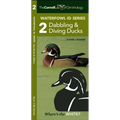 Waterfowl Id Series: 2 Dabbling & Diving Ducks - Paperback