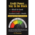 Credit Power - Stay in the Black: Excellent Credit = Wealth - Paperback