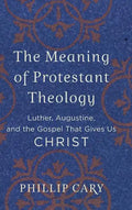 Meaning of Protestant Theology - Hardcover