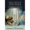 The Life of the Soul: Jewish Perspectives on Reincarnation from the Middle Ages to the Modern Period - Hardcover