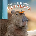 You're a Good Friend, Capybara - Hardcover