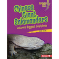 Chinese Giant Salamanders: Nature's Biggest Amphibian - Library Binding