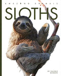 Sloths - Paperback