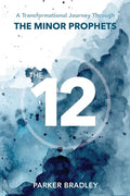 The Twelve: A Transformational Journey Through The Minor Prophets - Paperback