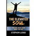 The Elevated Soul: You Are More Than What You See - Paperback