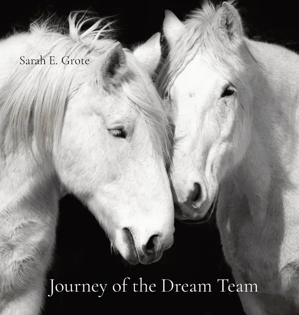 Journey of the Dream Team - Hardcover