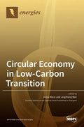 Circular Economy in Low-Carbon Transition - Hardcover