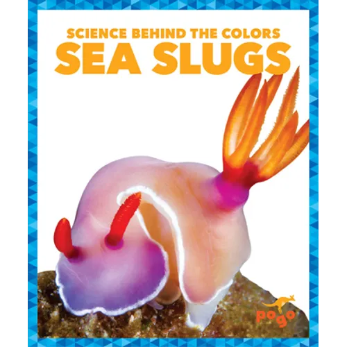 Sea Slugs - Library Binding