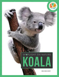 Koala - Paperback