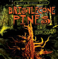 Bristlecone Pines Are Ancient! - Library Binding