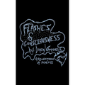 Flashes of Consciousness - Paperback