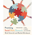 Practising Social Work Research: Case Studies for Learning, Third Edition - Paperback