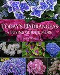 Today's Hydrangeas: A Buying Guide & More - Paperback