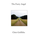 The Furry Angel - Paperback