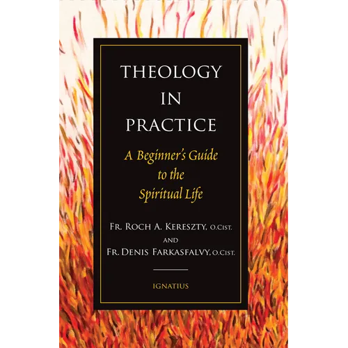 Theology in Practice: A Beginner's Guide to the Spiritual Life - Paperback
