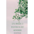 Little Wonders: A reflection on early motherhood - Paperback