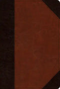 ESV Student Study Bible (Trutone, Brown/Cordovan, Portfolio Design) - Imitation Leather