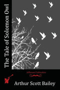 The Tale of Solomon Owl - Paperback