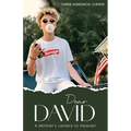 Dear David: A Mother's Letters to Heaven - Paperback
