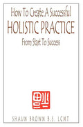 How To Create A Successful Holistic Practice - Paperback
