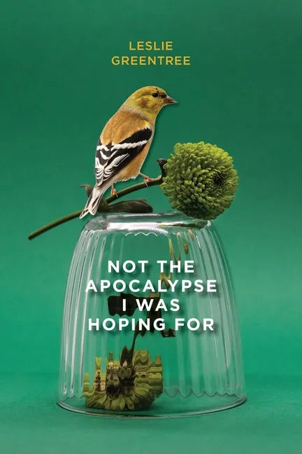 Not the Apocalypse I Was Hoping for - Paperback