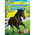 Thoroughbred Horses - Library Binding