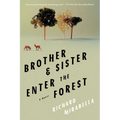 Brother & Sister Enter the Forest - Paperback