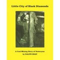 Little City of Black Diamonds: A Coal -Mining Story of Yesteryear - Paperback
