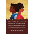 Economic Co-Operation Among Negro Americans - Paperback
